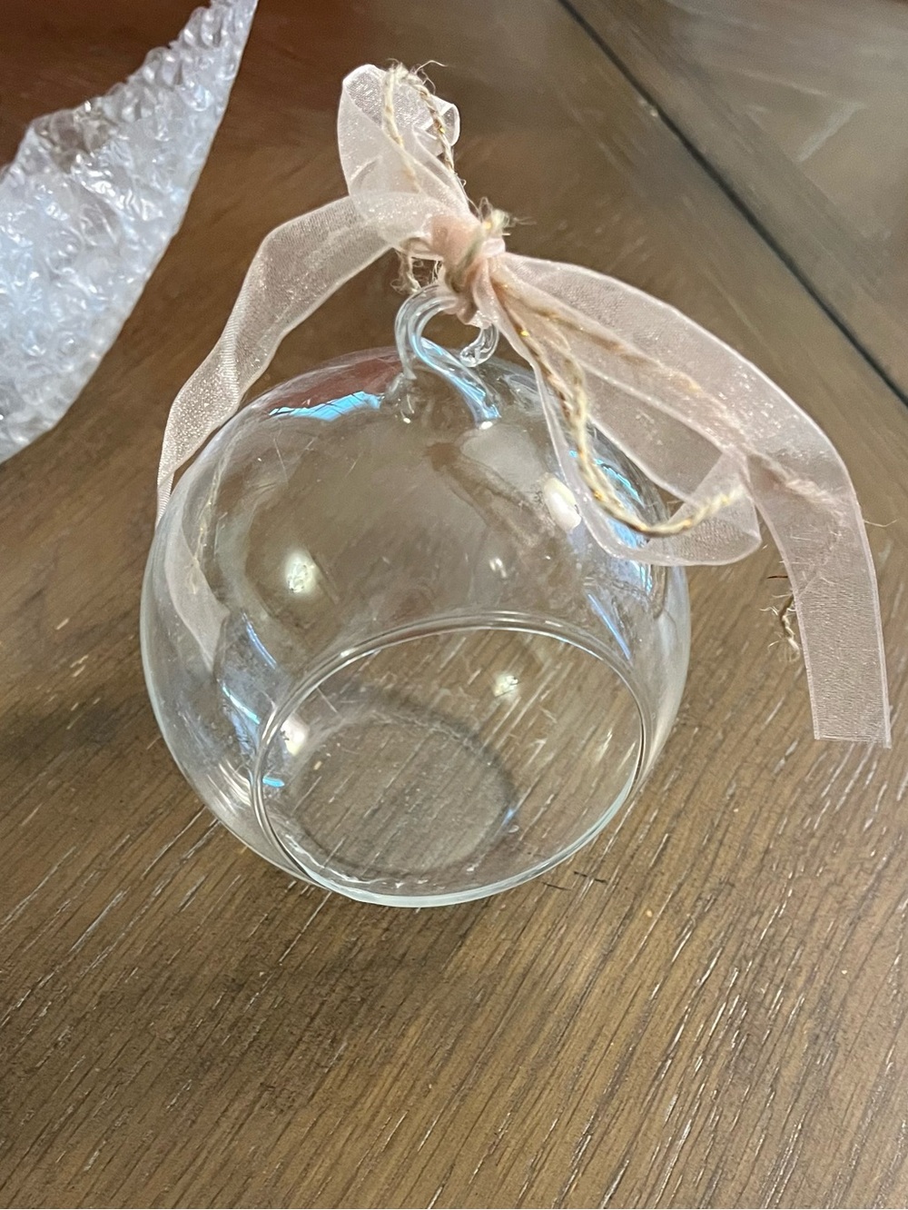 Glass Ball Succulent Plant Hanger Witches Ball Home Decor